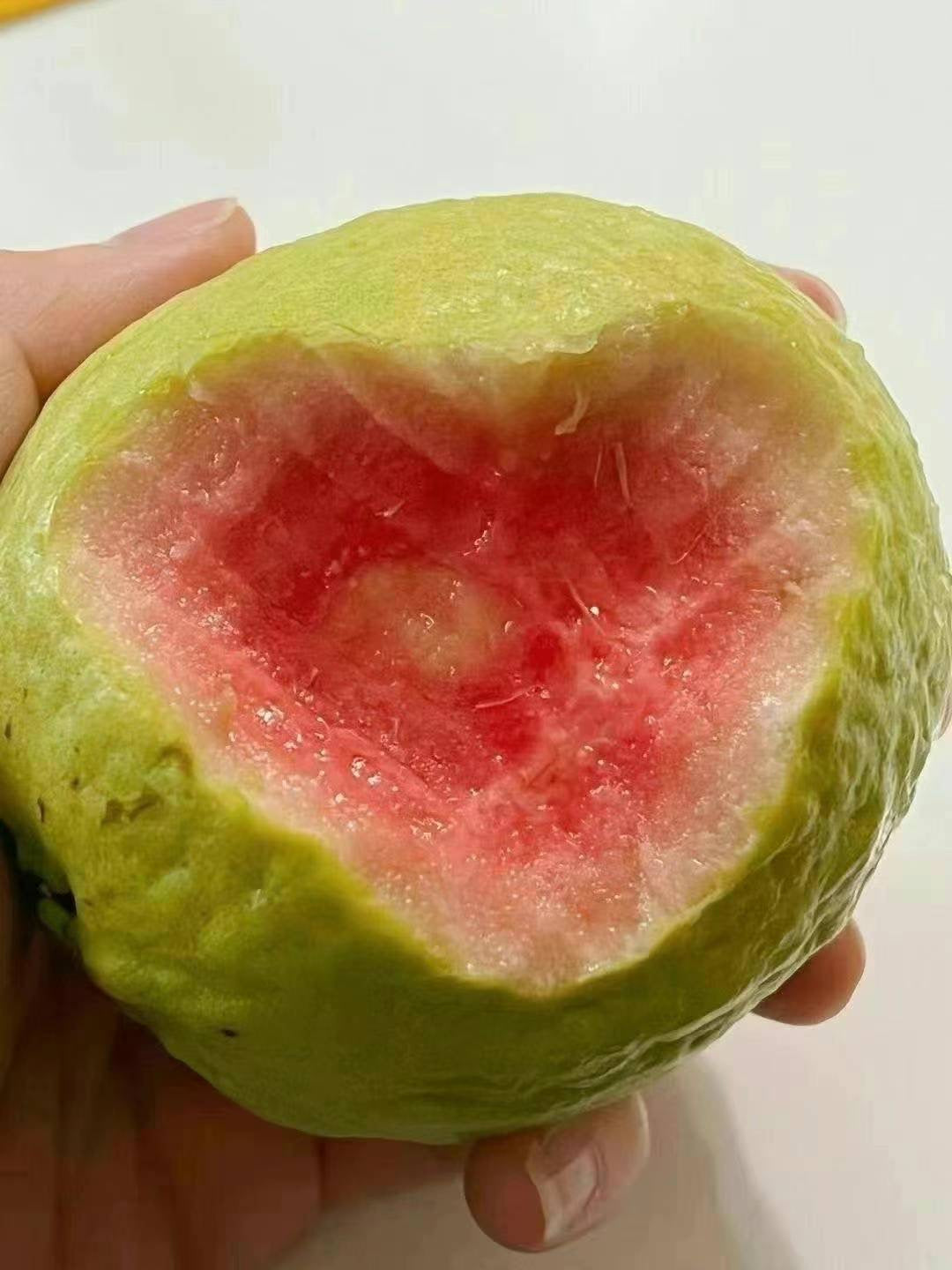 Pink Guava Box 20LB