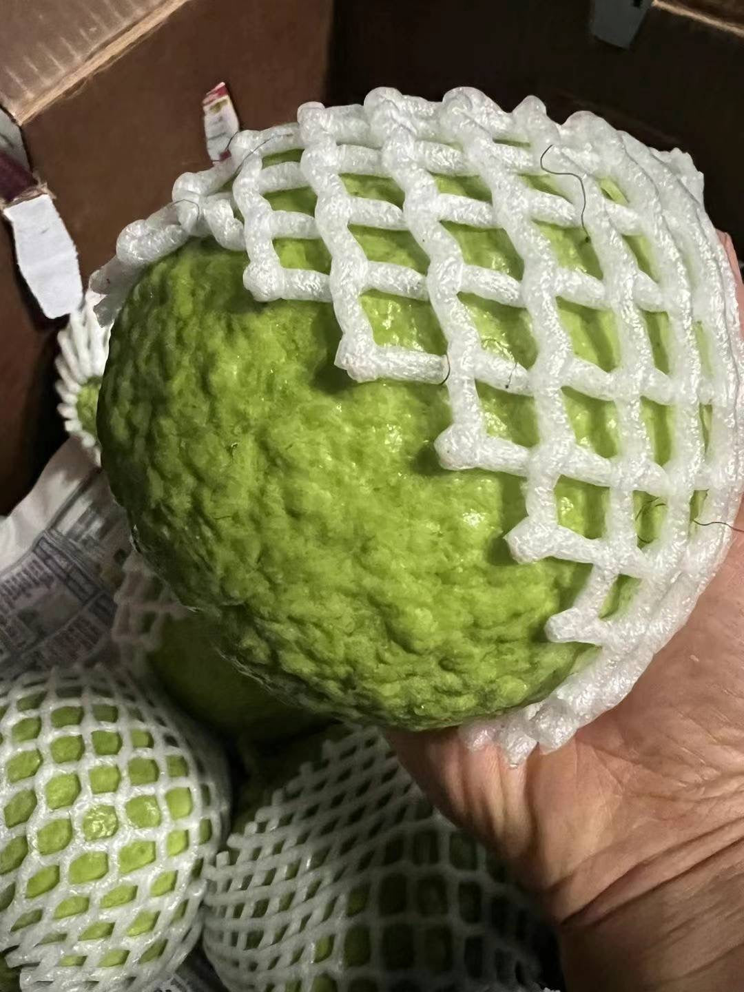 White Guava 20lb