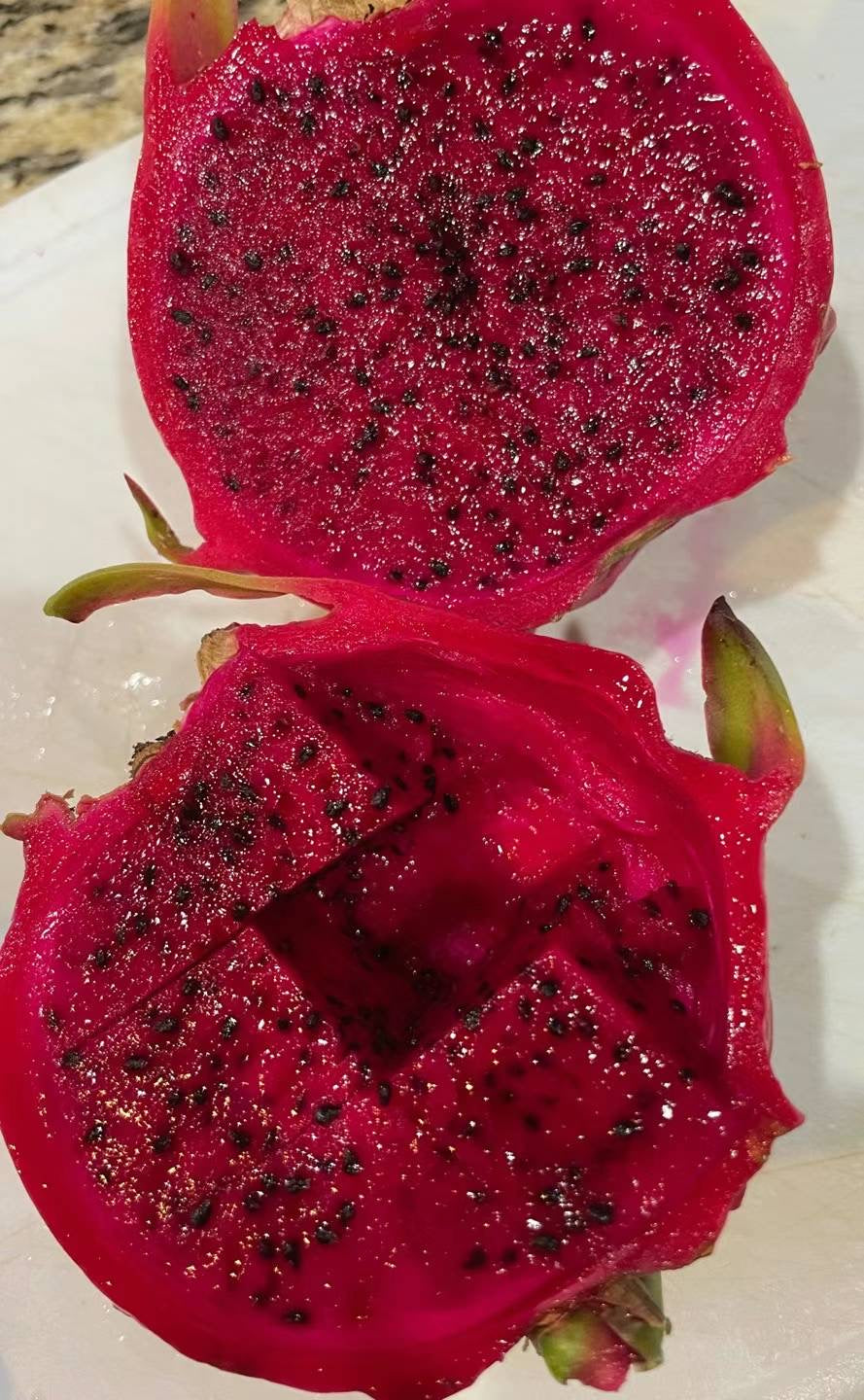 Fresh Dragon Fruit from Florida Farm,20LB