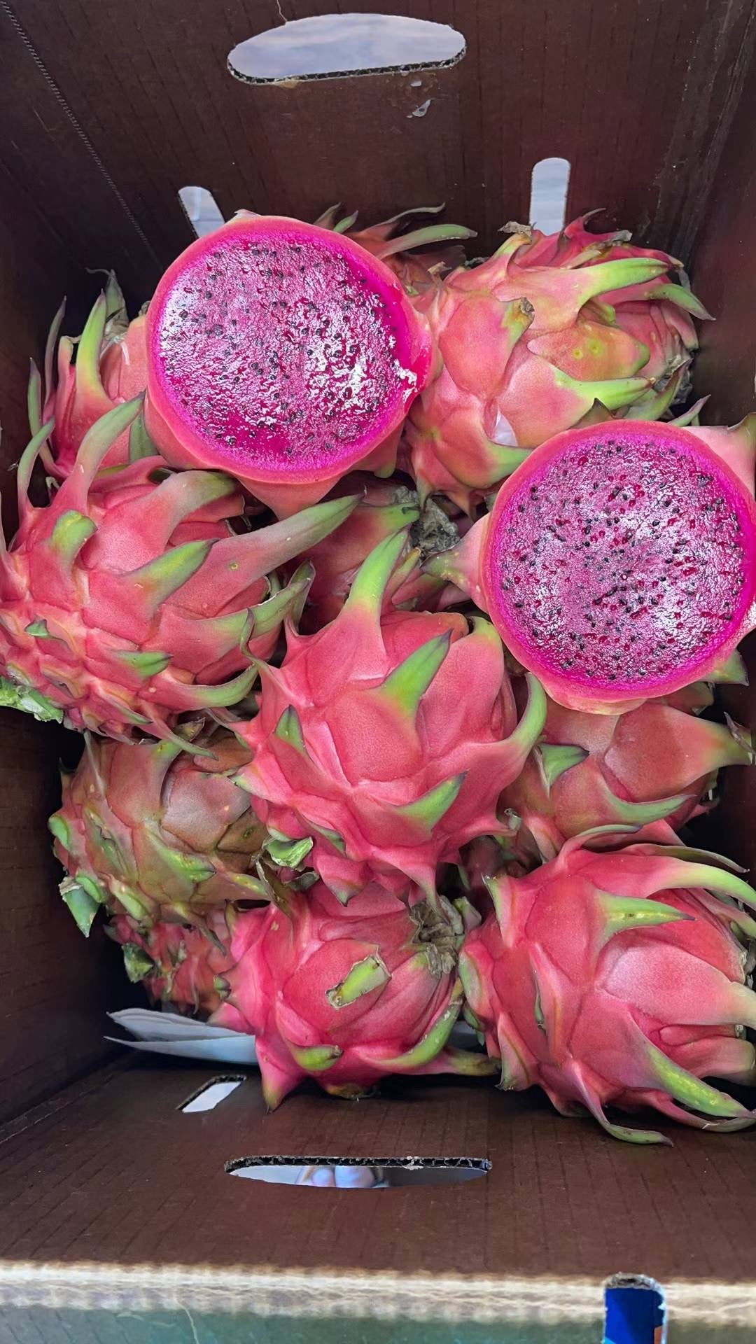 Fresh Dragon Fruit from Florida Farm,20LB