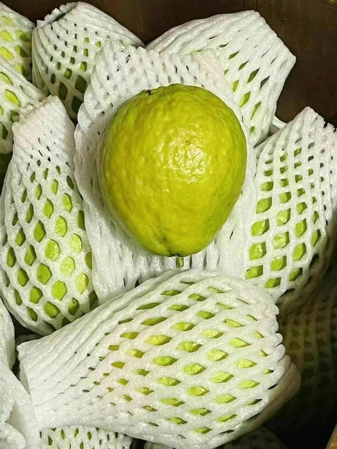 Pink Guava Box 20LB