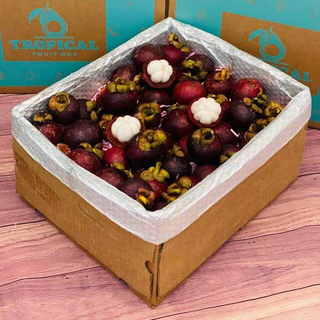 Purple Mangosteen Fruit 15 lb