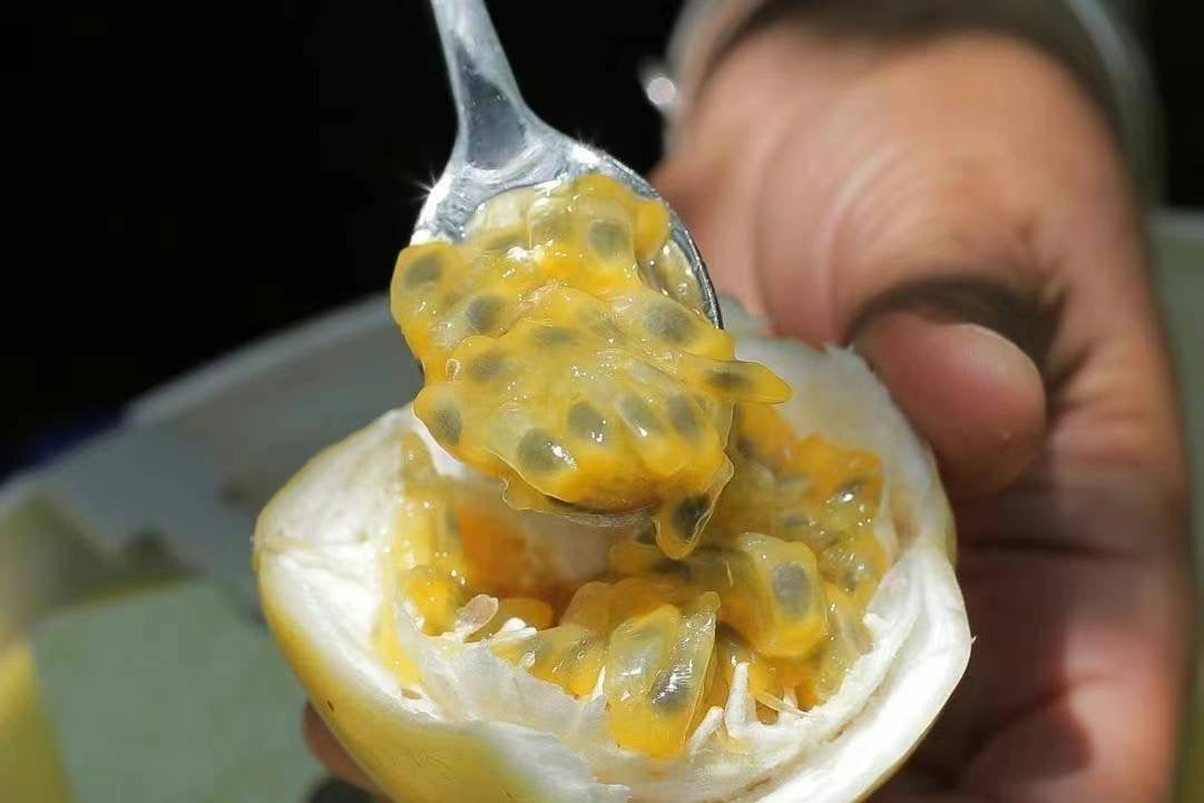 Yellow Passion Fruit 20lb