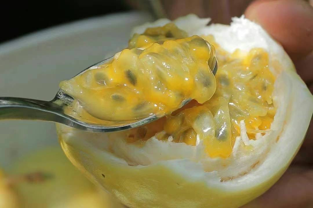 Yellow Passion Fruit 20lb