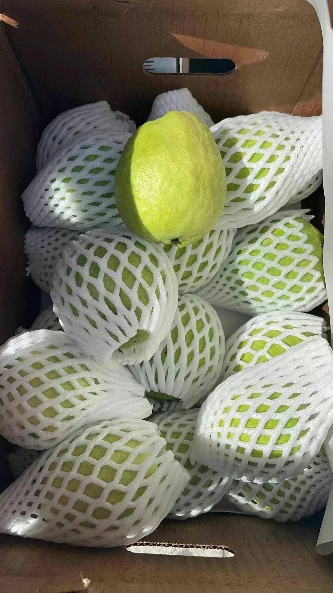 White Guava 20lb