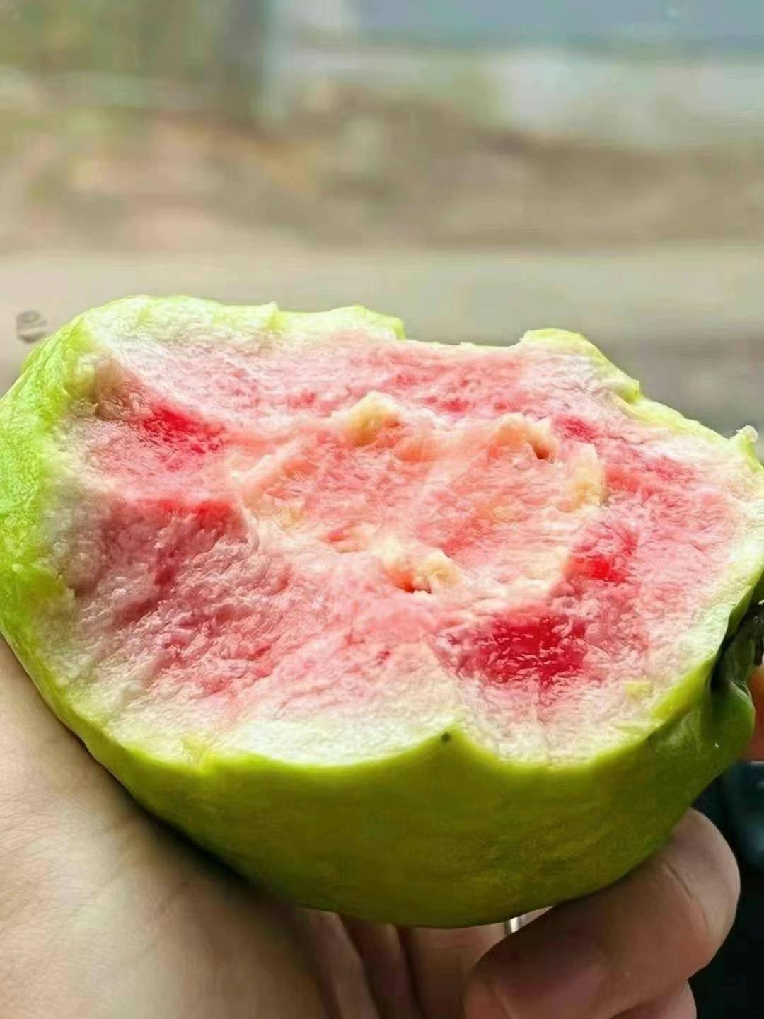 Pink Guava Box 20LB