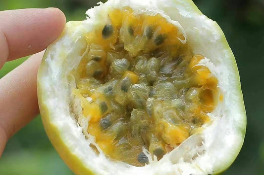 Yellow Passion Fruit 20lb