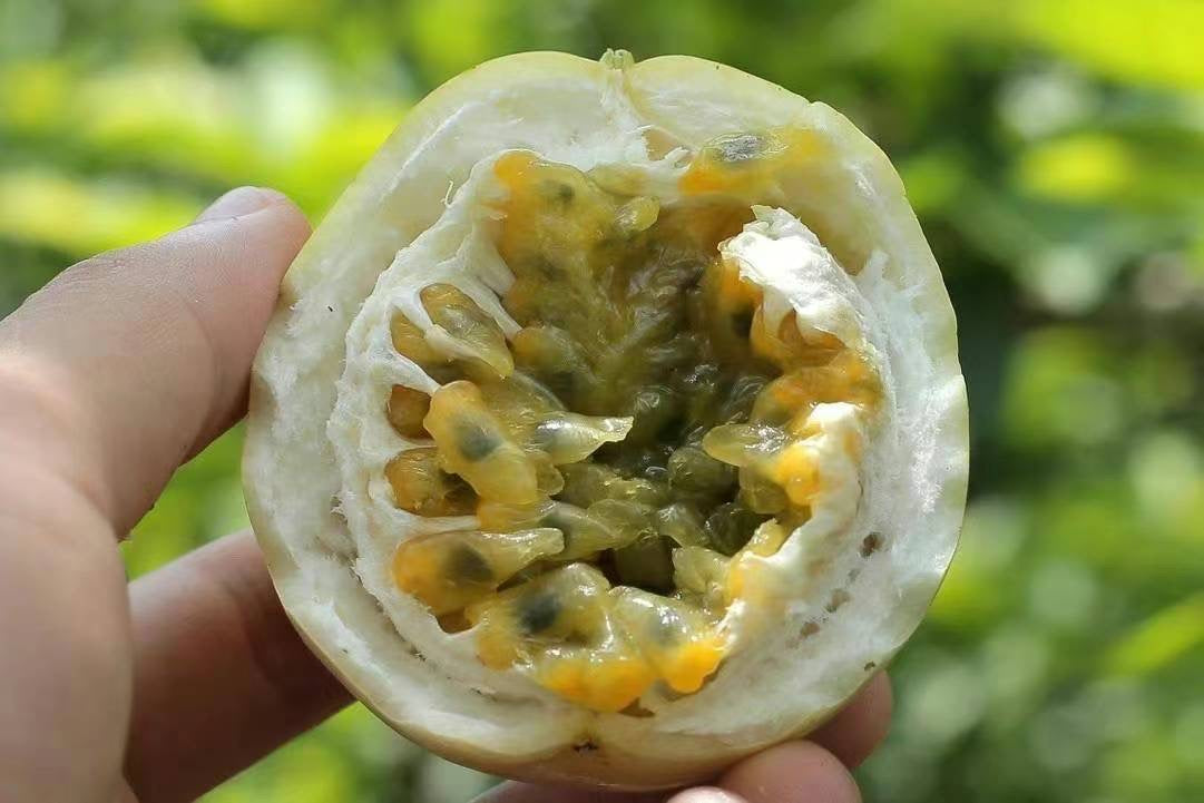 Yellow Passion Fruit 20lb