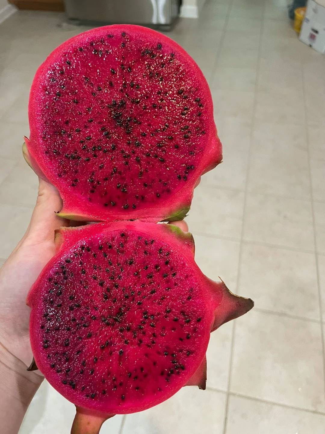 Fresh Dragon Fruit from Florida Farm,20LB