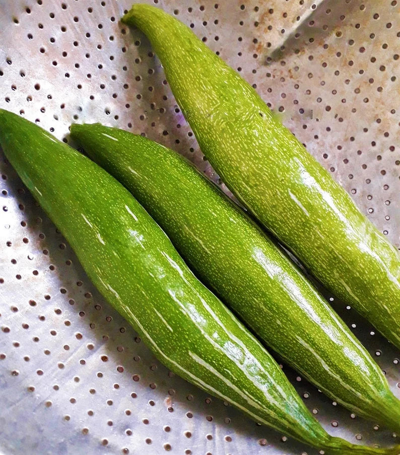 Buag Ngu Snake Gourd Seeds | White Striped Green Serpent Chichinda Padwal Chinese Luffa Squash Bitter Melon Asian Seed 2022 Fast Shipping