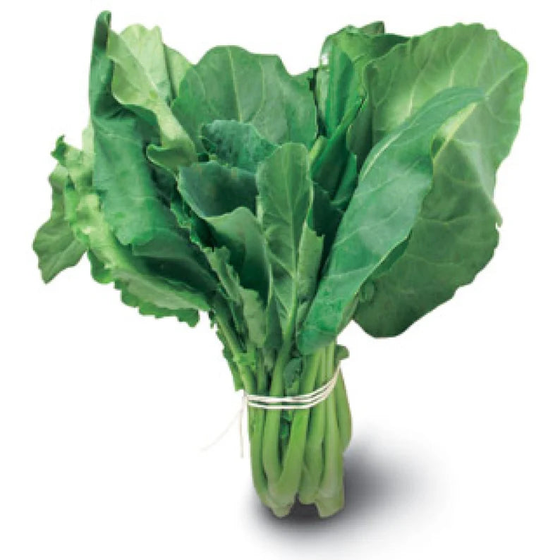 Chinese Broccoli | Gai lan | kai-lan | jie lan | Chinese Kale | Brassica oleracea | Leafy Broccoli 200 Seeds