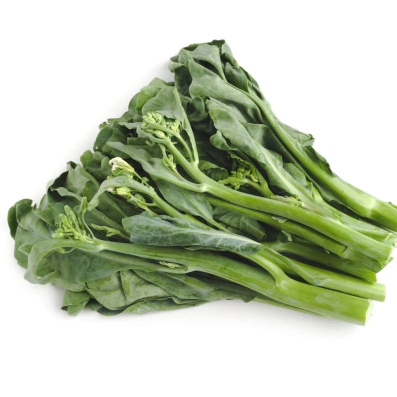 Chinese Broccoli | Gai lan | kai-lan | jie lan | Chinese Kale | Brassica oleracea | Leafy Broccoli 200 Seeds