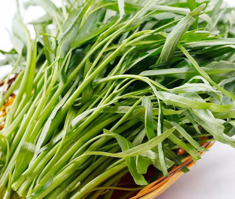 250 WATER SPINACWater Convolvulus, Kangkong ,ongchoy, Vietnamese Rau Muong Seeds