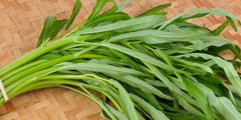 250 WATER SPINACWater Convolvulus, Kangkong ,ongchoy, Vietnamese Rau Muong Seeds