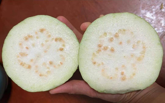 White Guava 20lb