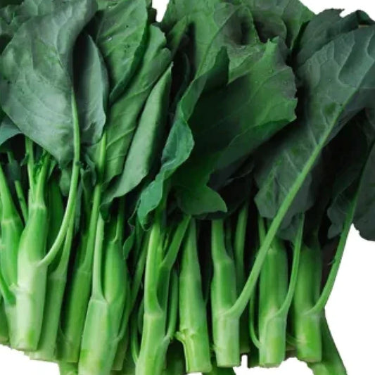 Chinese Broccoli | Gai lan | kai-lan | jie lan | Chinese Kale | Brassica oleracea | Leafy Broccoli 200 Seeds