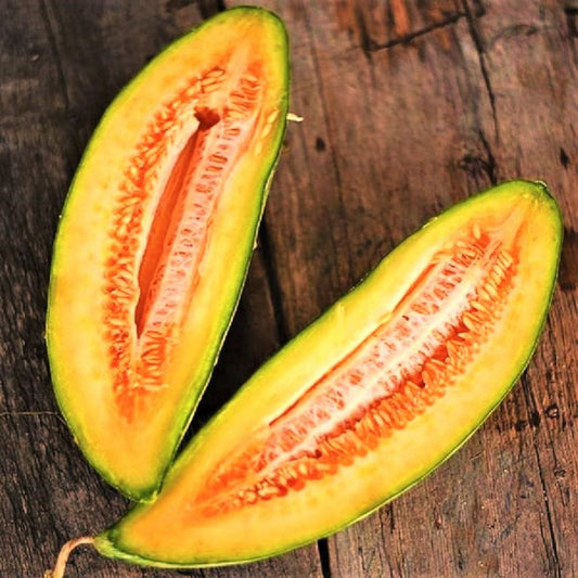 羊角瓜Banana Cantaloupe Seeds | Heirloom Oblong Orange Flesh Yellow Skinned Casaba Sweet Tropical Exotic Fruit Seed For 2022 Season Fast Shipping